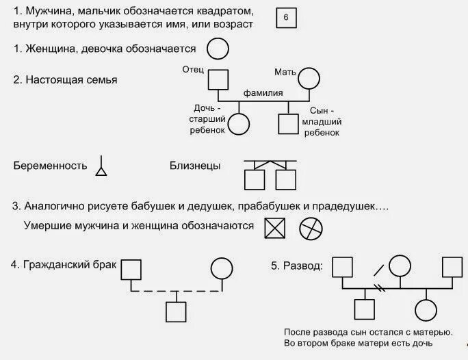 Генограмма пример с описанием и анализом. Генограмма пример с описанием и анализом