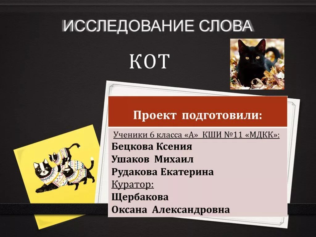 Слово кот. Значение слова кот. Происхождение слова кот. Кот для презентации.