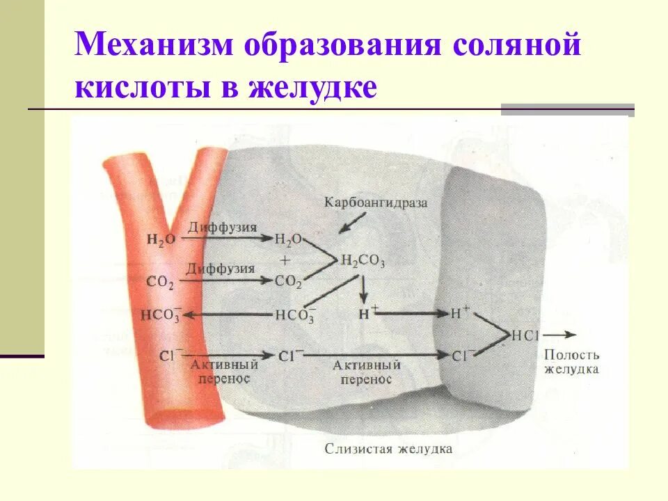 Кислотным и соляным