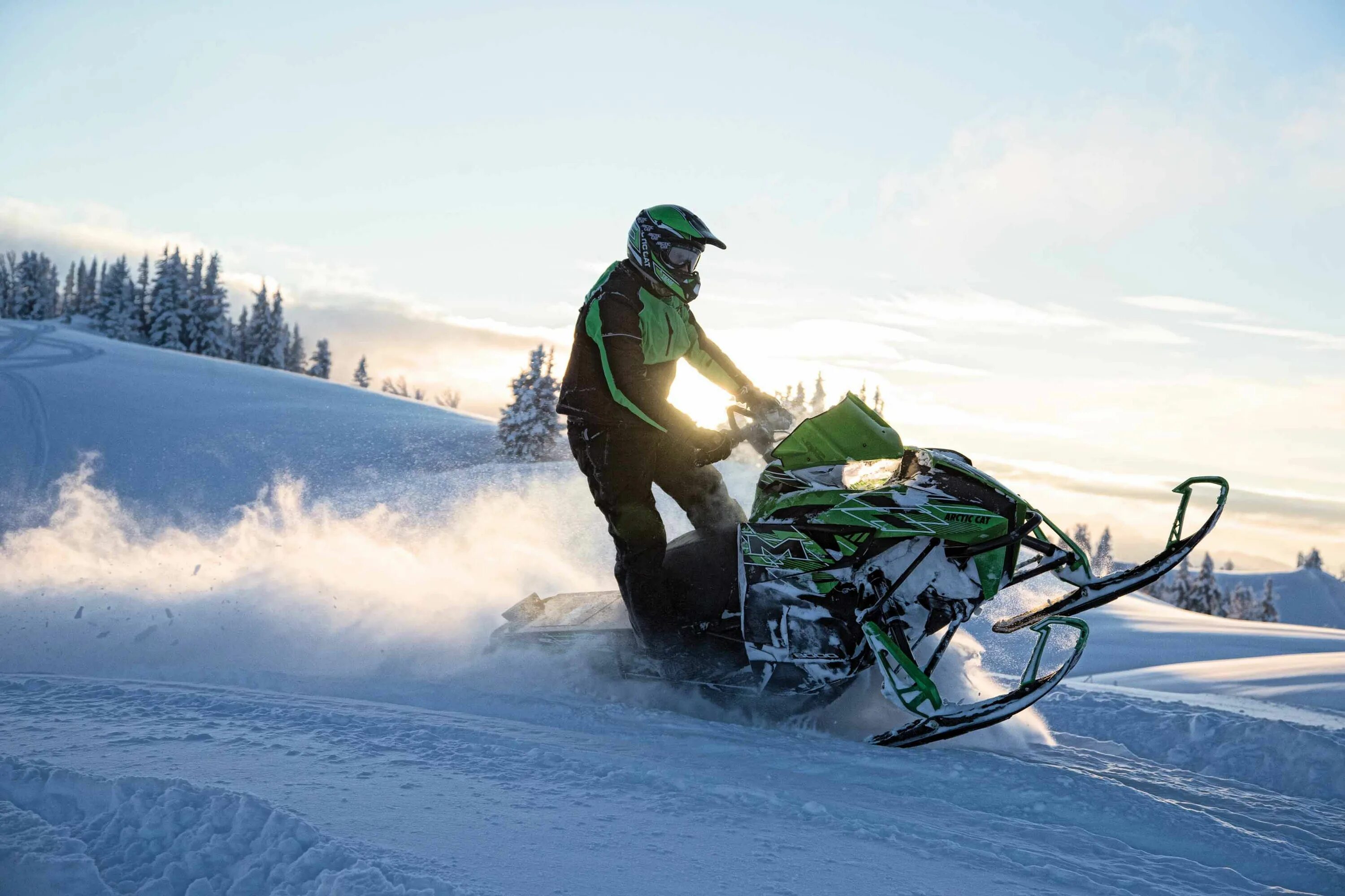 Arctic Cat m8000. Snow Cat снегоход. Снегоход Арктика 1500. Стоячий снегоход. Сноумобиле форум