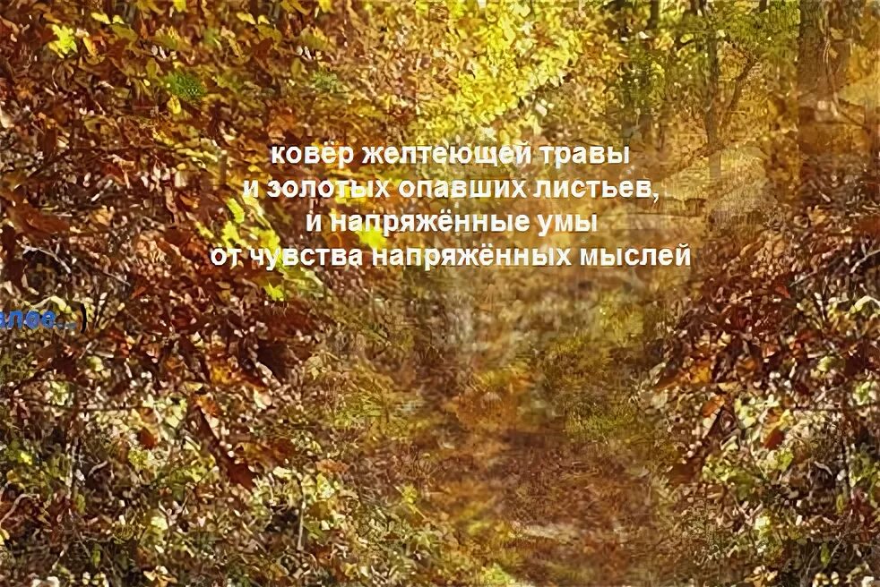 Распространите предложения пожелтели листья. Распространите предложения пожелтели листья