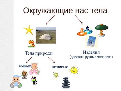 Примеры естественных тел 3 класс окружающий мир