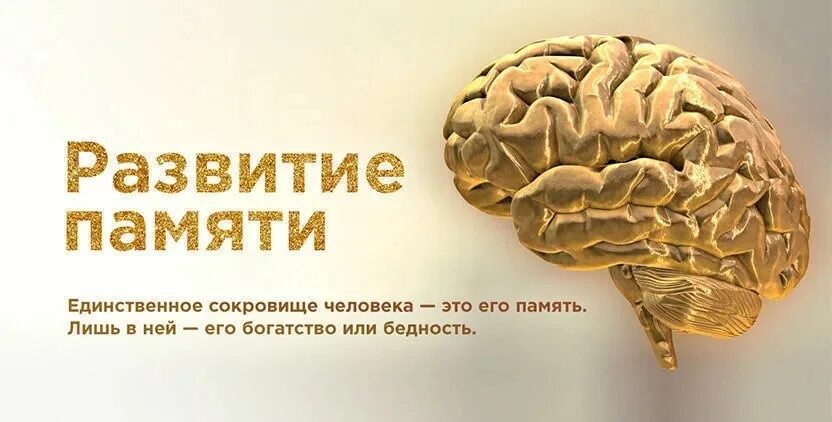 Сколько в мозгах памяти. Объем памяти мозга человека. Нейротренинг. Мозг и память человека большая статья. Нейротренинг приложение.
