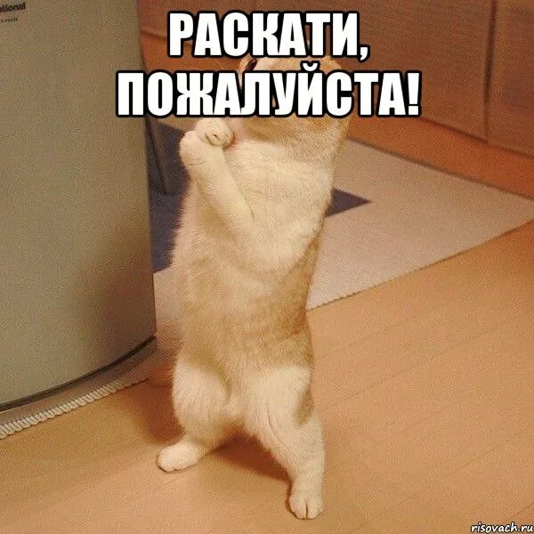 Прощай сережка снова здравствуй