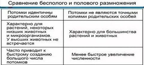 Преимущества бесполого размножения и недостатки
