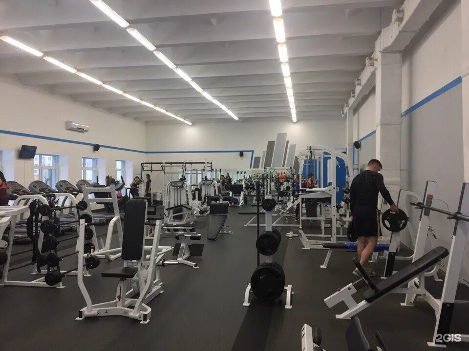 Май фит застава. My fit тверь гусева. Май фит застава. My fit тверь королева. My fit тверь гусева.