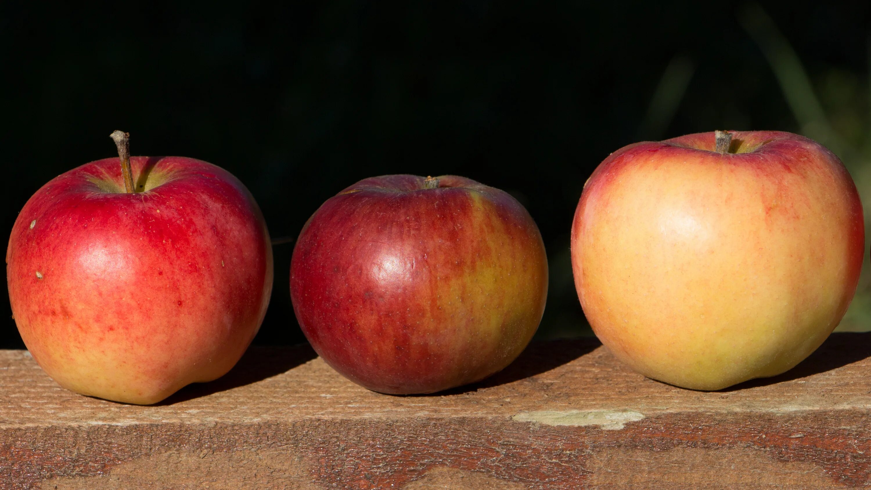 Три яблоки 15