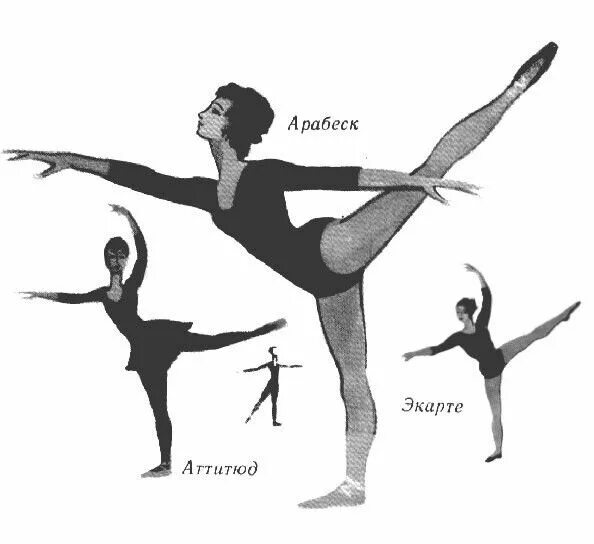 Прыжок в фигурном буквы сканворд. Прыжок в фигурном буквы сканворд. Фигурное катание аксель прыжок. Прыжки в фигурном катании схемы. Прыжок аксель в фигурном катании схема.