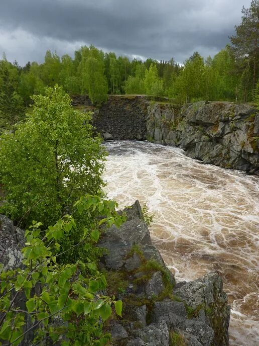 Водопад надвоицы в карелии. Падун надвоицы водопад. Сегежа карелия водопады. Надвоицы водопад воицкий падун. Воицкий падун водопад в карелии.