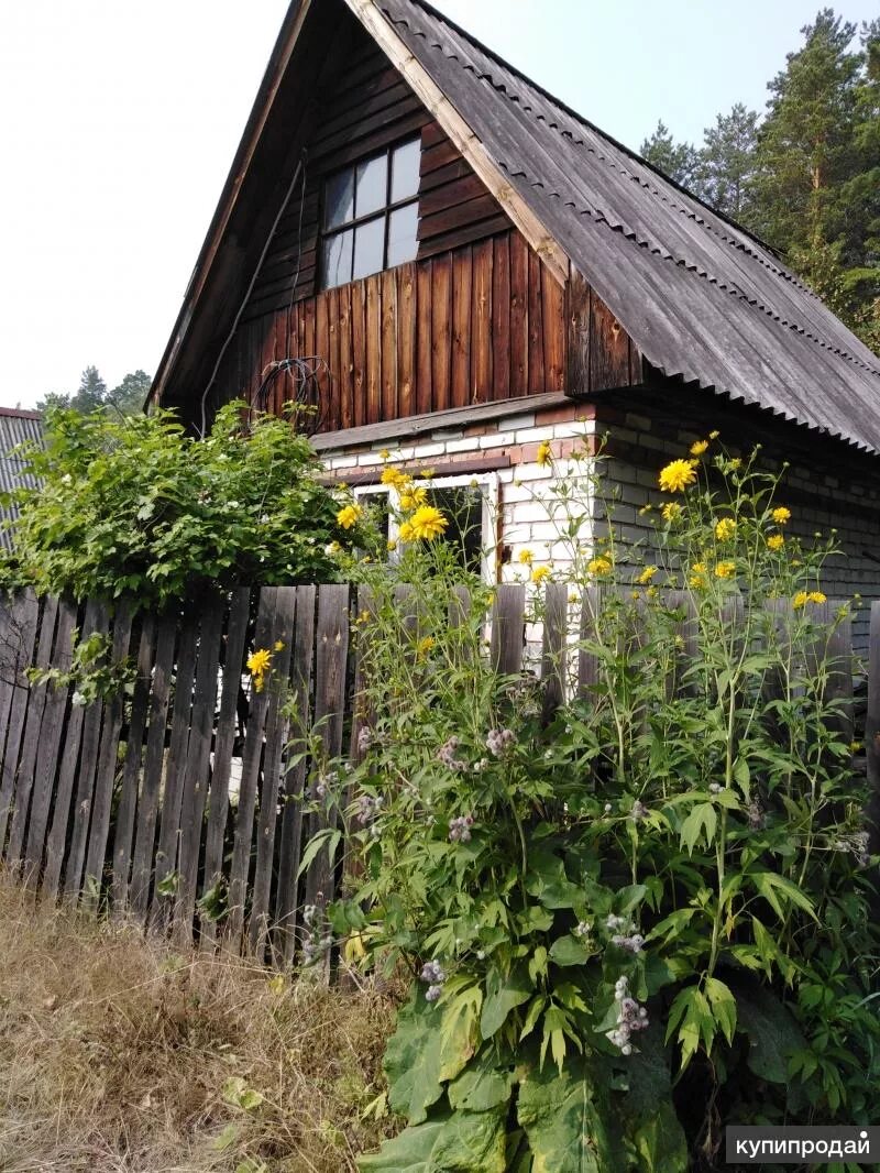 Снт малиновка купить. СНТ Малиновка Курган. Сады Малиновка в Кургане. Малиновка 8 Курган. Курганская дача.