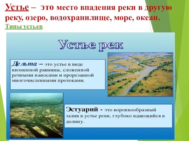 Дайте определение реки. Исток Устье Дельта реки. Эстуарий это в географии. Устье реки это в географии. География типы устья рек.