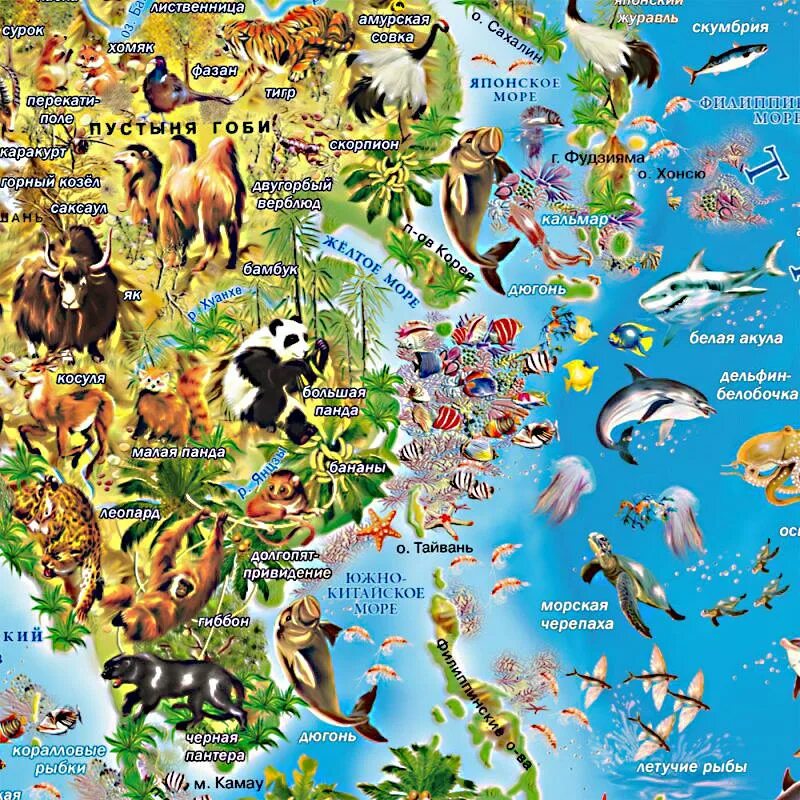 Какие животные ассоциируются со странами. Символы животных стран. Животное символ страны. Животные разных континентов. Животные на карте.