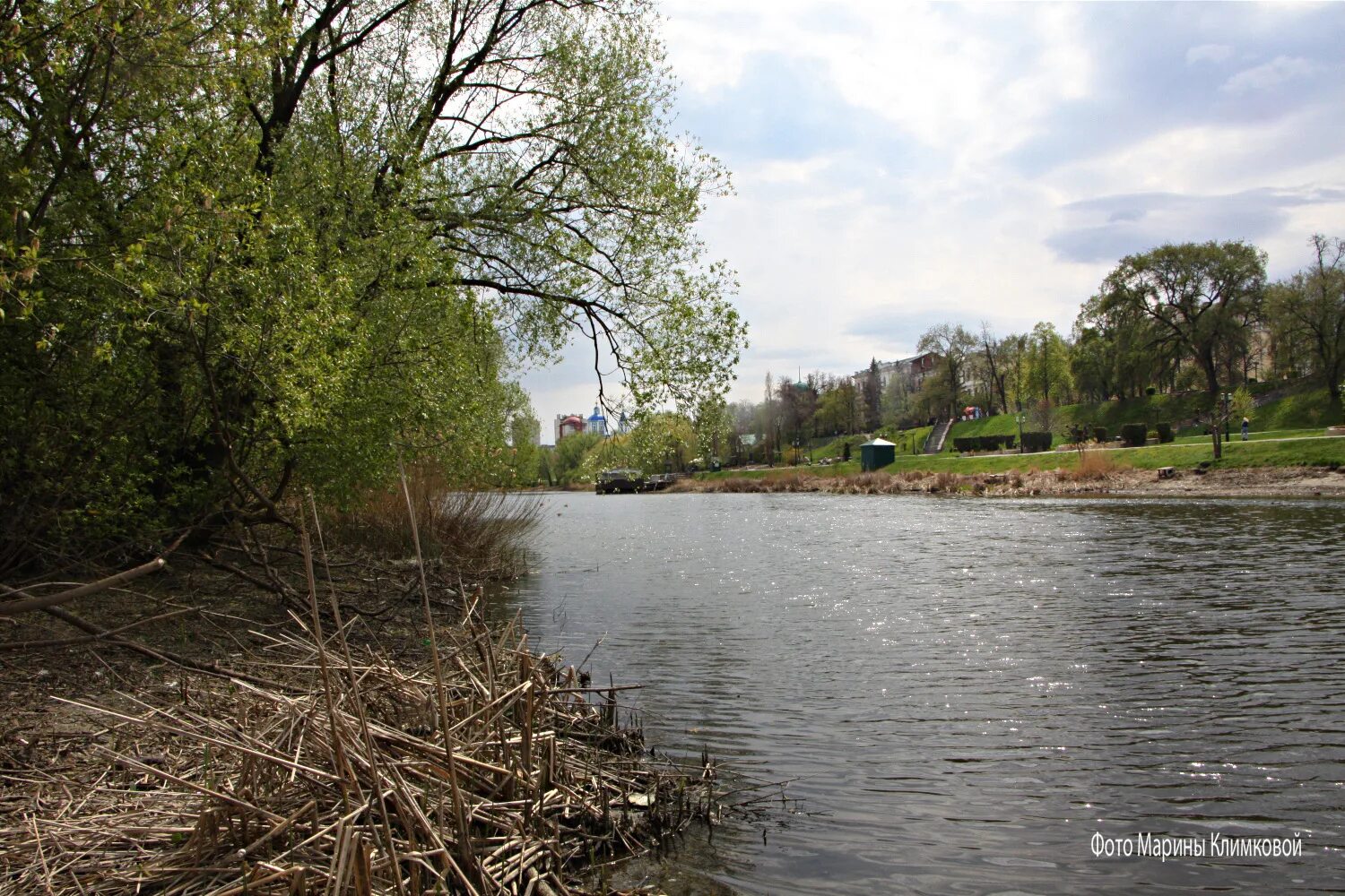 Уровень воды река цна. Река жигалка Тамбов. Цна Тамбов грязная вода. Река Цна. Река Цна Тамбов.