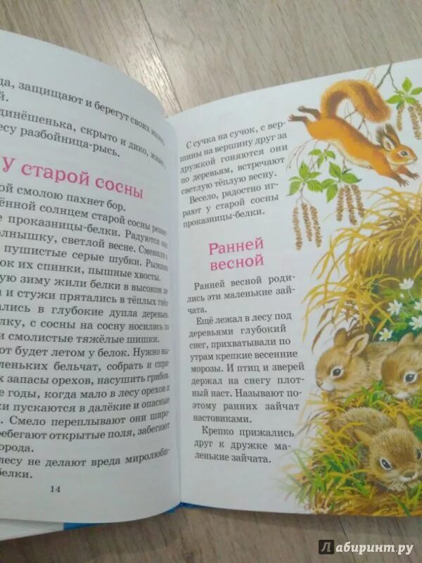Микитов рассказы о природе. Соколов-микитов рассказы о природе. иван соколов микитов рассказы о природе. соколов-микитов рассказы о природе книга. соколов никита рассказы о природе 3 класс.