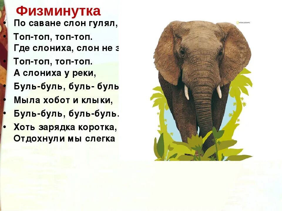 Стих про слона. Стихи про слонов. Стих про слона для детей. Стихотворение про слоненка. Слоников краткое