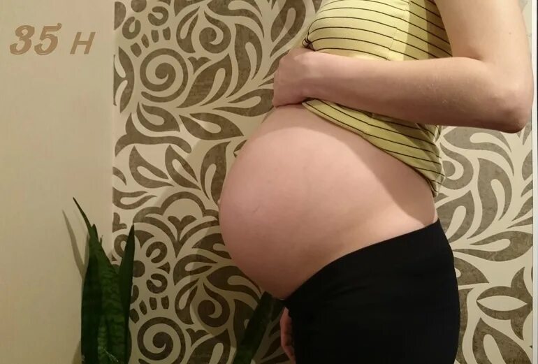 Живот на 35 неделе беременности. Беременный живот в 35 недель. Беременное пузо на 35 неделе. 35 недель опустился живот