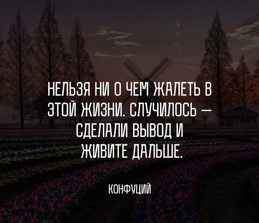 Что жизни натворила никому не разобрать. Жалею цитаты. Сделай вывод и живи дальше. Нельзя жалеть о том что сделано. Сделал выводы и живи дальше.