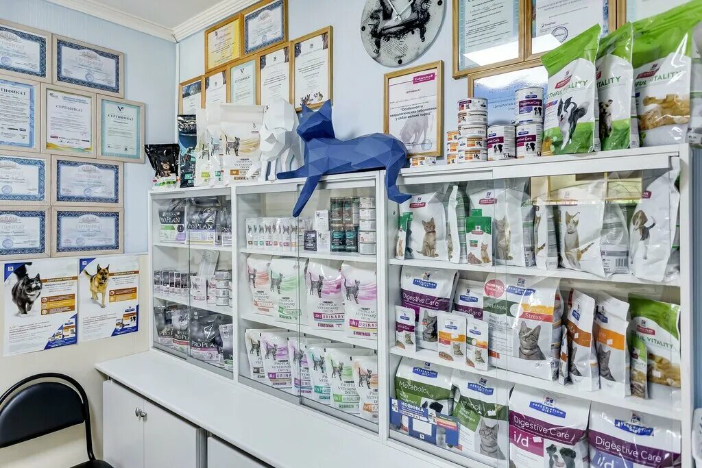 Ветклиника ветсервис. Ветклиника ветсервис. Ветклиника ветсервис. Атмосфера вет ветеринарная клиника. Ветсервис сергиев посад.