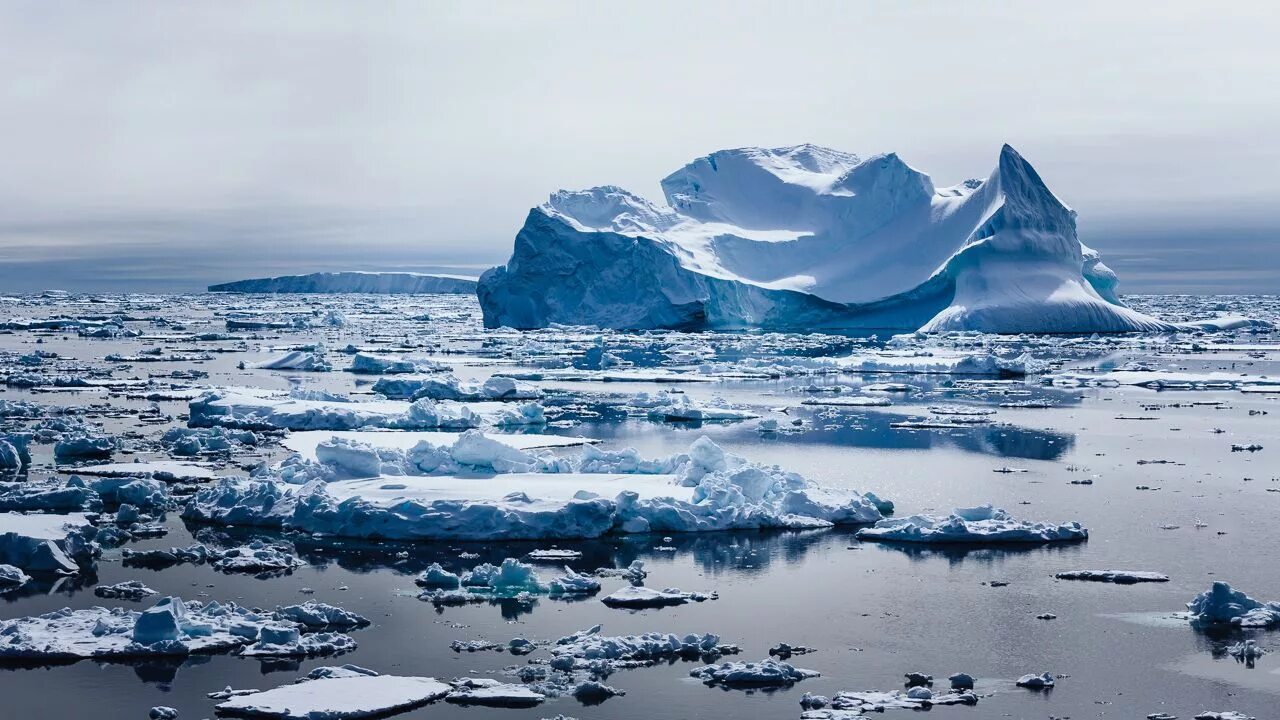 The great warming. Таяние ледников в Арктике. Глобальтное потемредае. 1глобпдьное потепление. Глабальная потепленение.