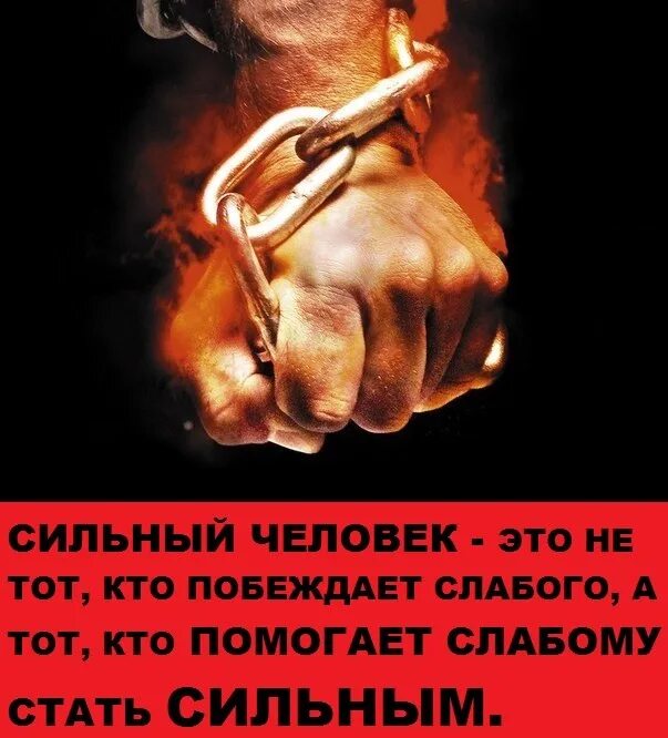Ну никого не слушай. Не слушай никого цитаты. иди вперед цитаты. никогда никого не слушайте. не слушайте никого.
