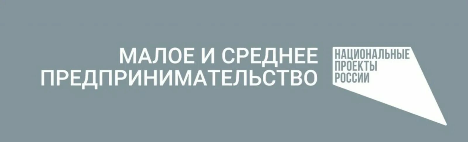 Вновь созданные мсп