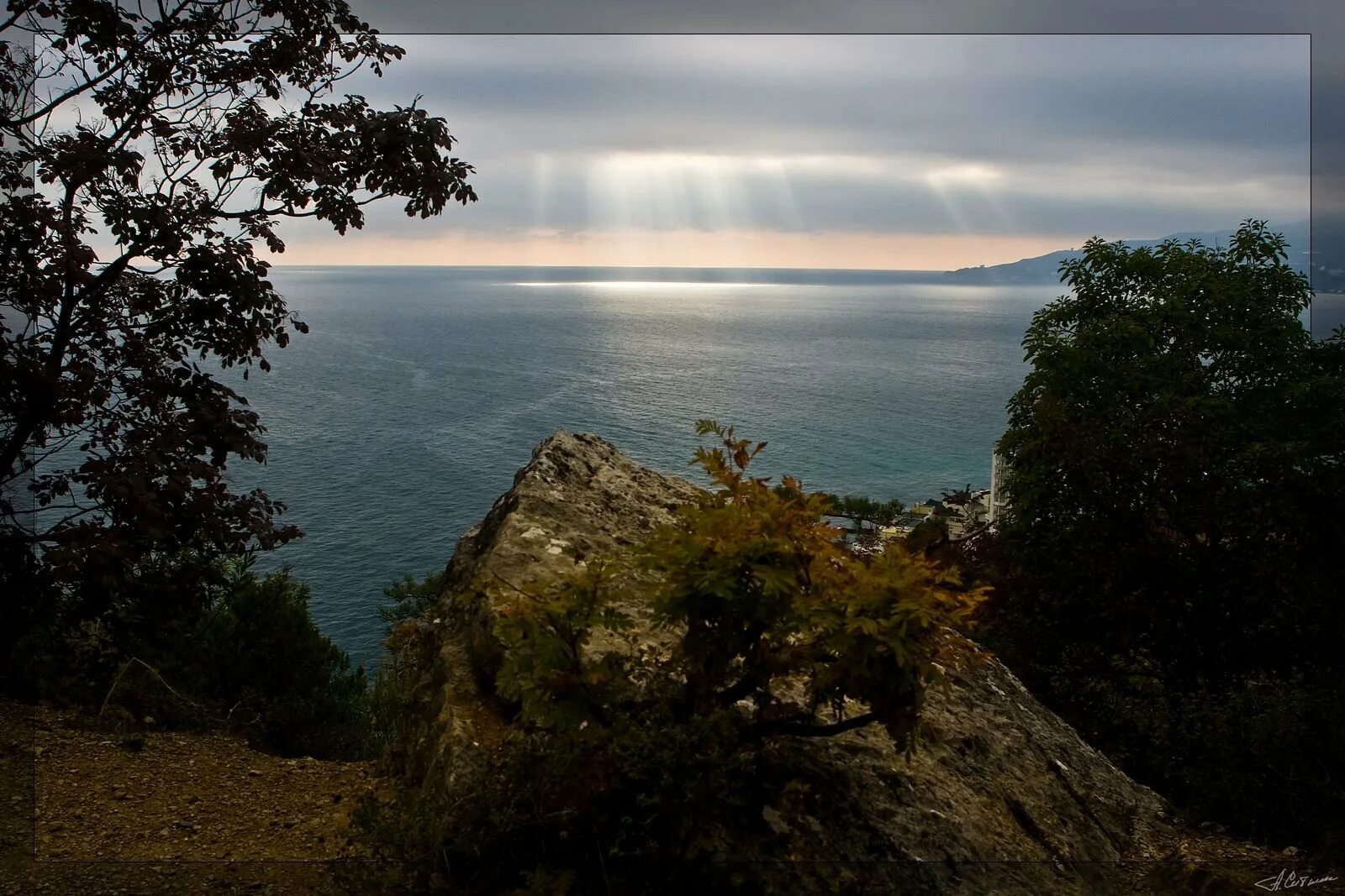 заповедник мыс. мыс мартьян. природный заповедник мыс мартьян. заповедник мыс. мыс мартьян заповедник в ялте.
