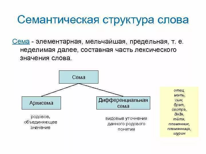 Компоненты семантической структуры слова. Семантическая структура слова Сема. Схема структура лексического значения. Семантическая структура лексемы.