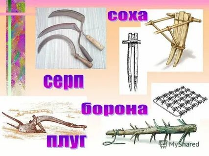 Год соха картинки