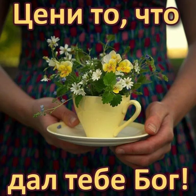 Доброе утро будьте хранимы богом картинки. Доброе утро с богом. с добрым утром с богом. доброе утро с богом в новый день. доброе утро дай бог здоровья.