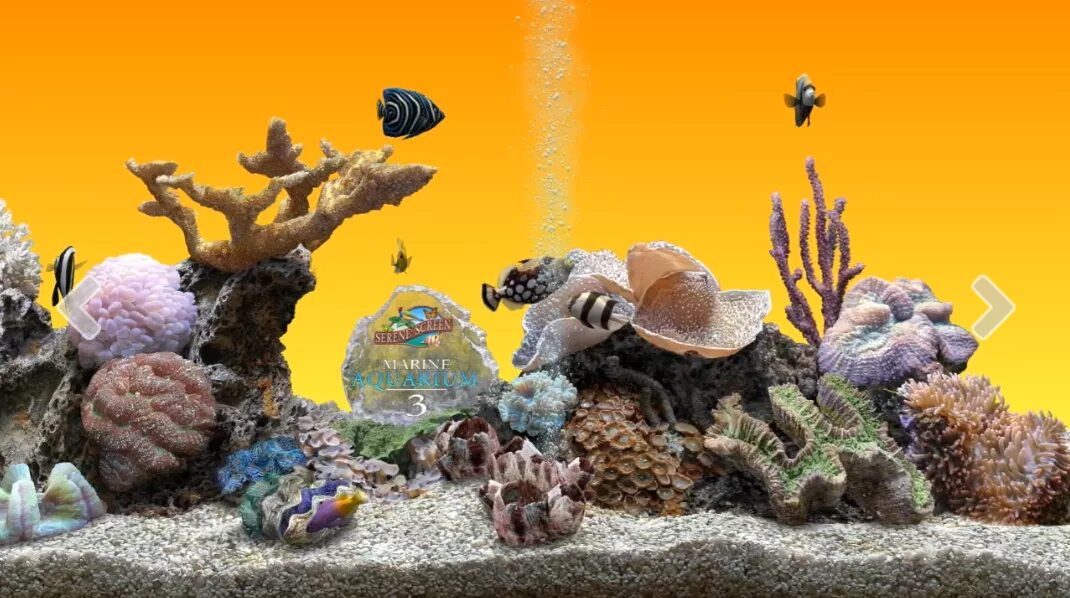 Marine aquarium. Аквариум 3d модель. Композиции из камней в морском аквариуме. Краб в морском аквариуме. Морской аквариум 300 литров.