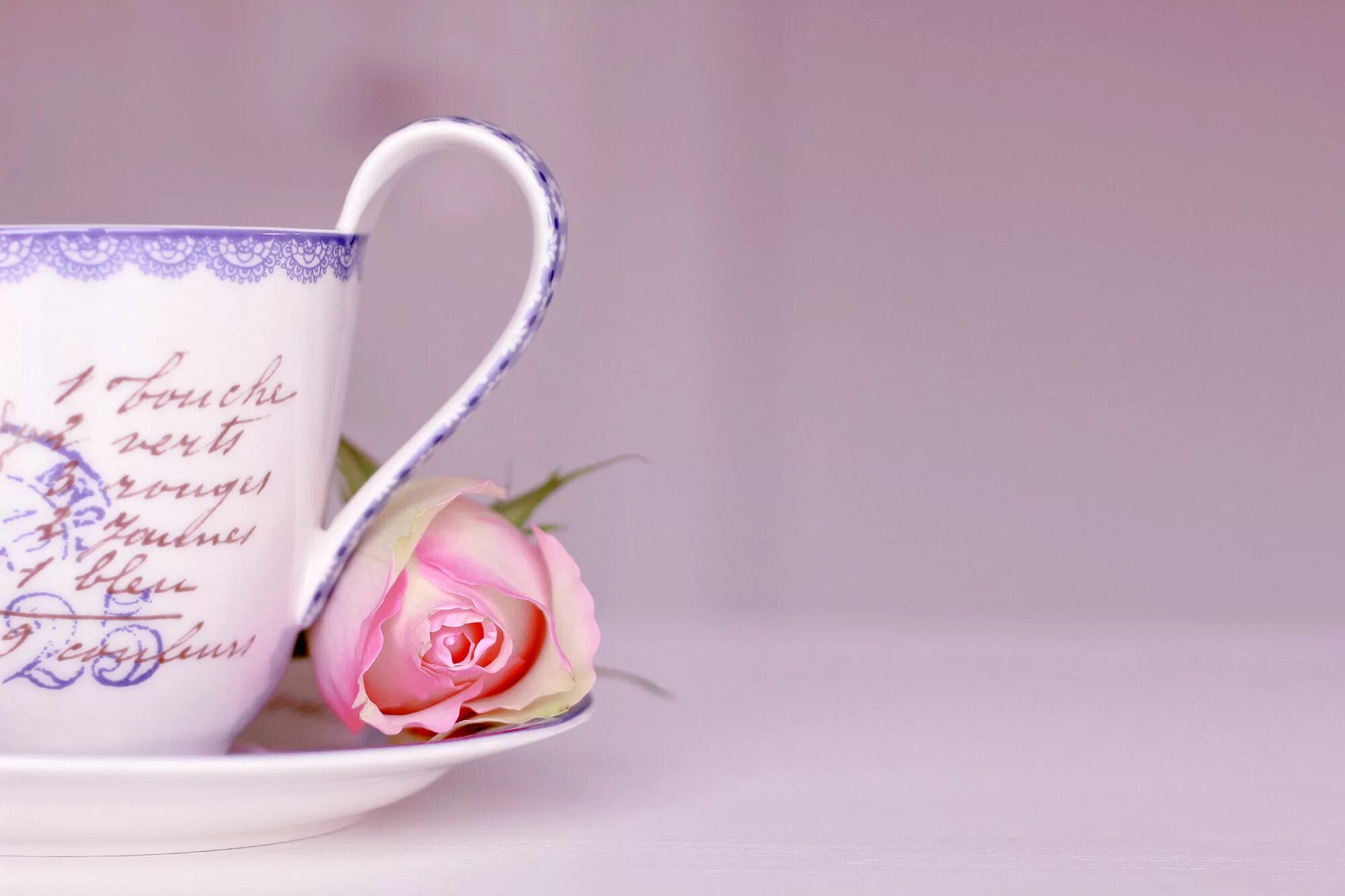 Доброе утро без тебя. Красивые чашки. Красивые цветы в чашке. Красивые кружки для чая. Цветы в кружке.