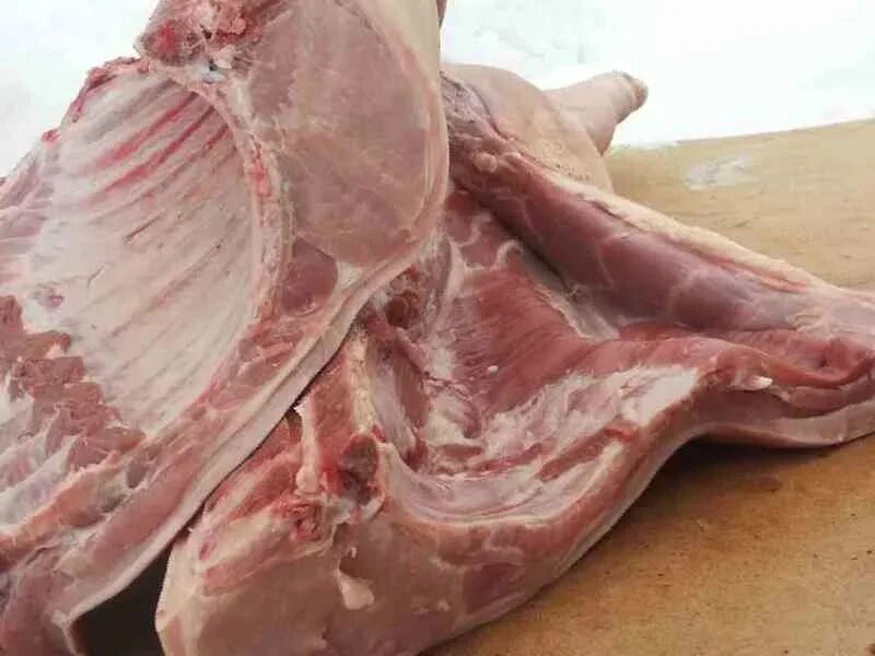 Мясо туша полутуша четвертина. Передняя четверть свинины. Задняя четверть свинины.