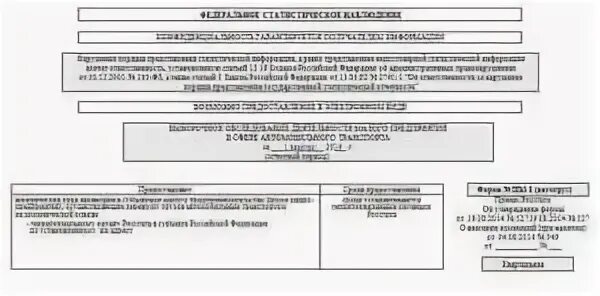 Сдаем отчет 1-ИП 25.02.2019 Курск - БезФормата