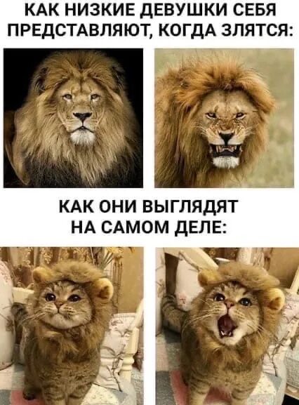 Сама ушла сама злится. Девушка злится. как видит себя девушка когда злится. как выглядят девушки которые злятся. как выглядит девушка когда злится.
