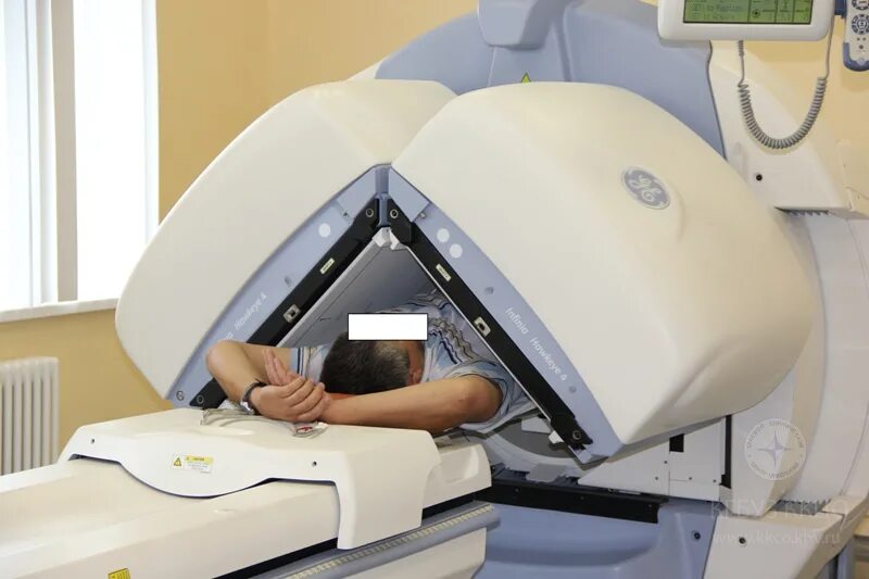 Записаться на сцинтиграфию. Статическая сцинтиграфия скелета. Сцинтиграфия в павлодаре. Сцинтиграфия лучевая диагностика. Тромбоэмболия легочной артерии сцинтиграфия.