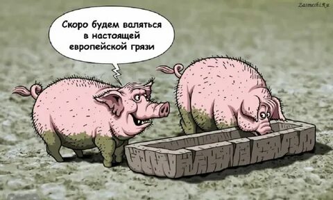 Не было печали купила бабка порося