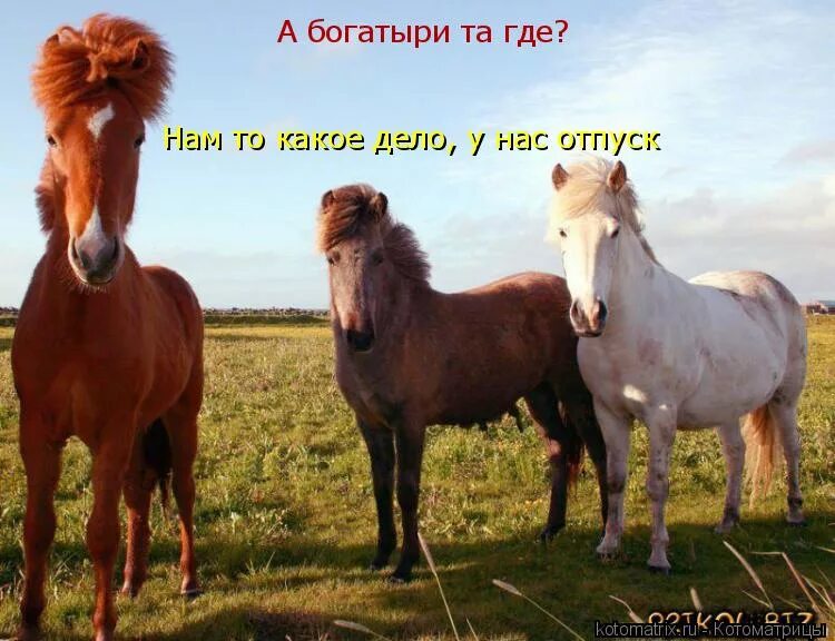 Скоро удастся