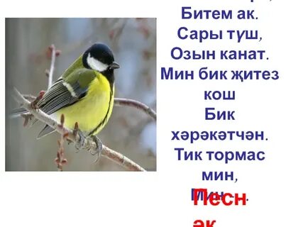 Мин бик