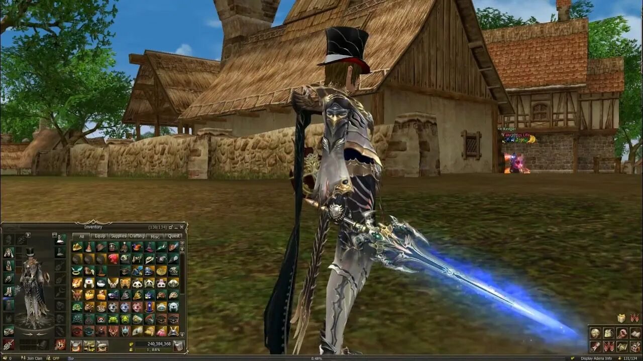Wizard tear l2. Wizard hat l2. lineage 2 визард. wizard hat l2 шапка.