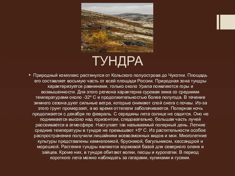 Сообщение о природной зоне. Презентация на тему природные зоны России. Сообщение о зоне тундры. Доклад по теме природные зоны России. Дать характеристику природной зоне тундра по плану