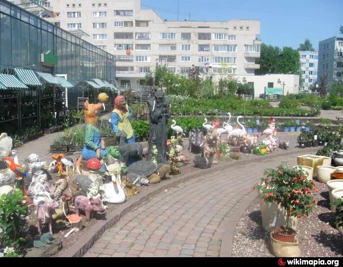 Молоко пастеризованное и ультрапастеризованное фото. Милава парк великий новгород. Милава парк великий новгород. Милава великий новгород. Сырок милава.