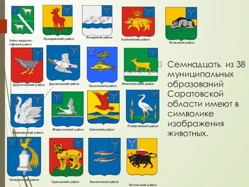 Гербы и символы городов россии. Гербы муниципальных районов Саратовской области. Гербы районов Саратовской области. Символы Саратовской губернии. Животное символ Саратовской области.