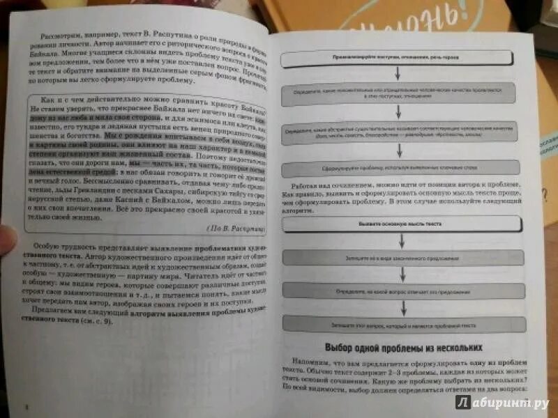 Сочинение егэ по воронину тридцать семь. Нарушевич сочинение подготовка к егэ. сенина сочинение на егэ. егэ сенина нарушевич сочинение читать. русский язык сочинение на егэ курс интенсивной подготовки.