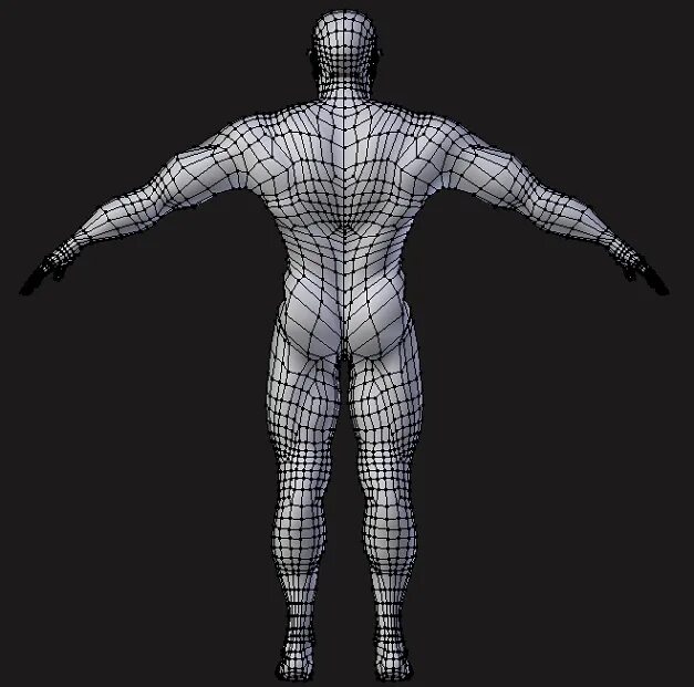 Human body visualizer. Топология человека. топология тела. топология человека мужчины. male body visualizer.