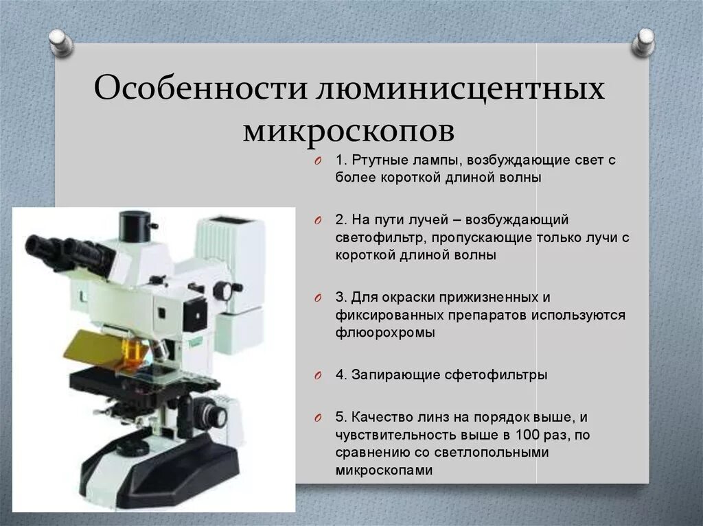 Преимущества использования световой микроскопии. Фазовый контраст микроскопия. фазово-контрастная микроскопия препарат. люминесцентная микроскопия &quot;особенности микроскопии&quot;. люминесцентный микроскоп строение.