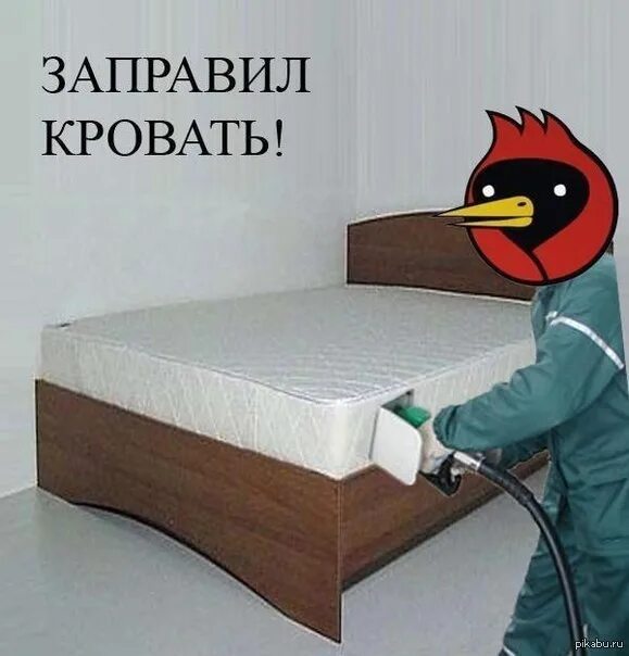 Мемы про кровать. Иди в мою кровать. Мем в кровати. Смешные кровати. Как коты видят кровать.