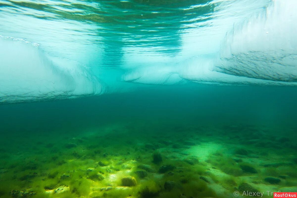 Вода из глубины байкала