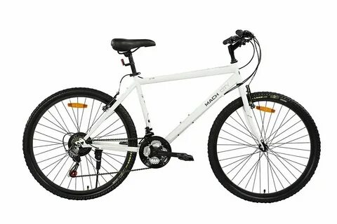New cycle 2024
