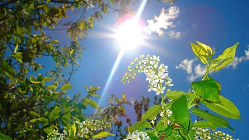 Солнечная погода перевод. Солнечный Майский день. Утро май солнце. Май солнце фото. Солнечного майского дня картинки.