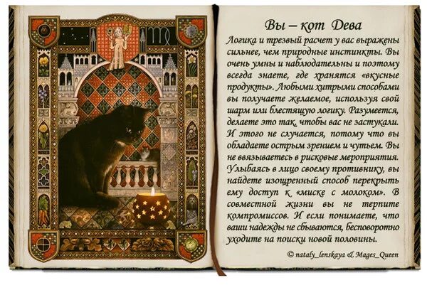 Кот и дева. Дева кот. знаки зодиака кошки. кот гороскоп. гороскоп кота характеристика.